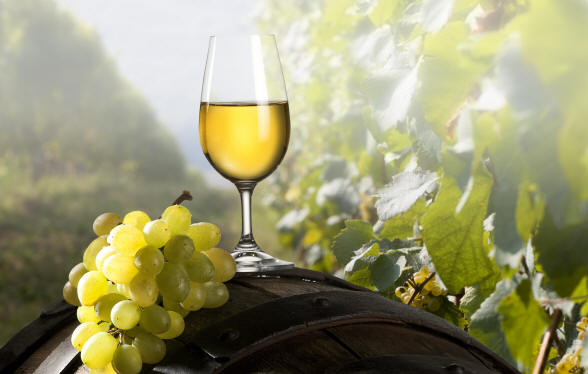 Risultati immagini per fiano vino