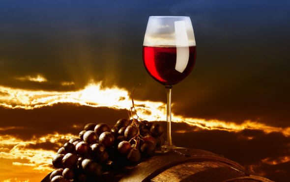 Il Vino in Friuli Venezia Giulia
