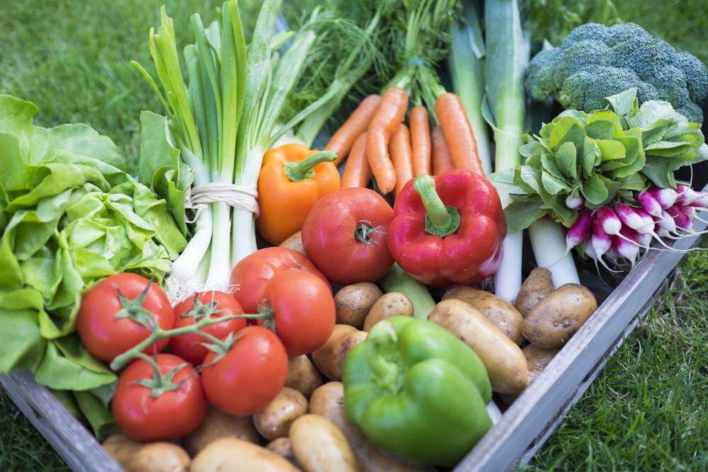 slow food