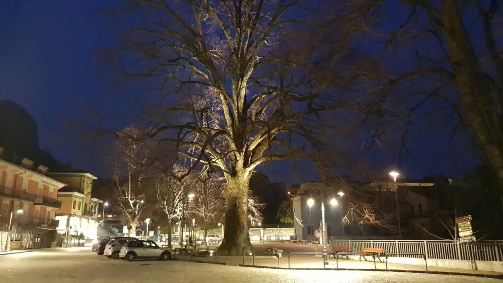 Alberi monumentali in Irpinia