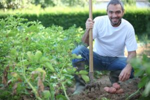Cosa piantare nell’orto e nel giardino a giugno.