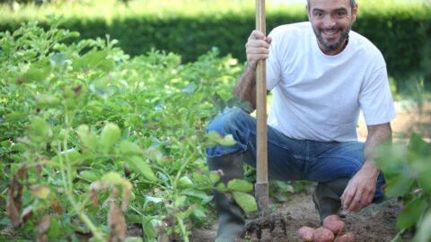 Cosa piantare nell’orto e nel giardino a giugno.