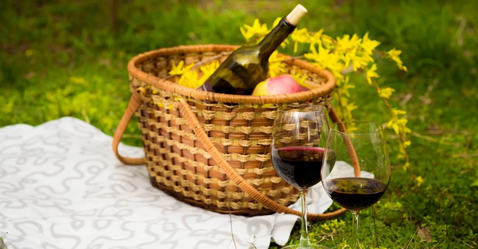 Aree Picnic in Lombardia nella zona di Milano, in Brianza e sul lago. Il picnic è sempre un grande momento di festa