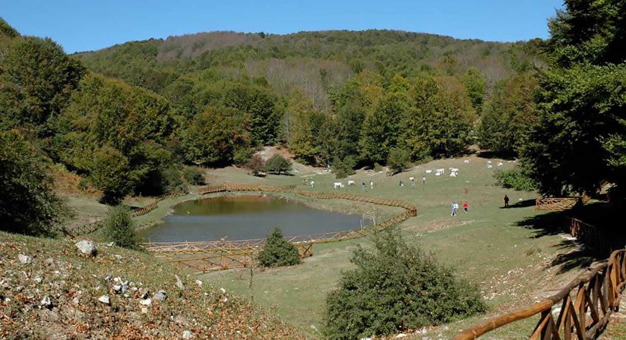 Un Week End Sul Monte Terminio Dal Pic Nic Al Maneggio Dalle Escursioni Ai Ristoranti Degli Agriturismi Agendaonline It