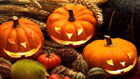 Dolcetto o scherzetto? Come organizzare una bellissima festa di Halloween per bambini. Halloween