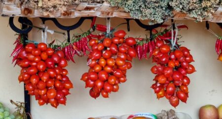 Pomodorino del Piennolo del Vesuvio