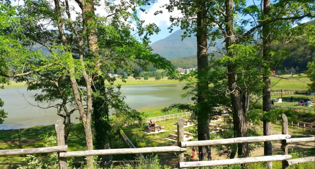 Area picnic Laceno / Foto Sorrentini - Agendaonline.it
