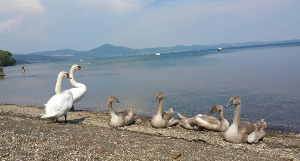 Lago di Bracciano
