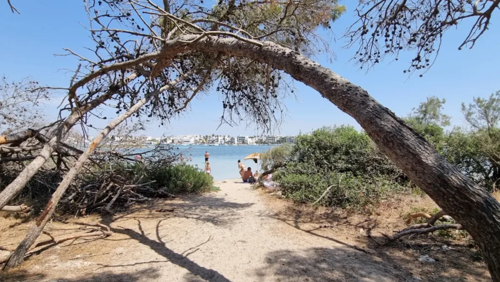 Isola dei conigli a Porto Cesareo